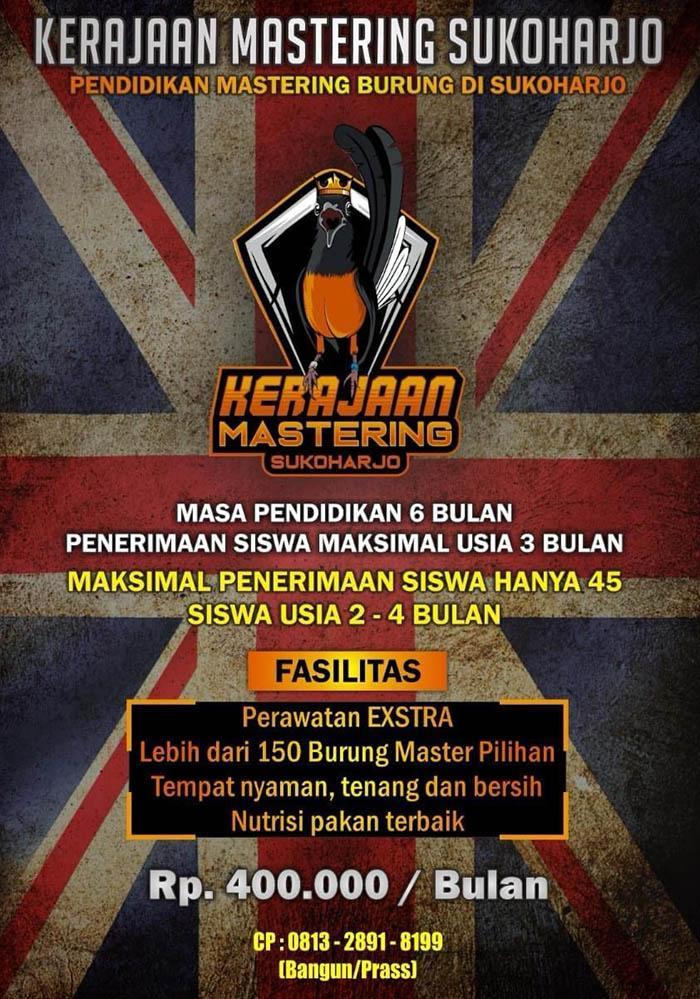 Agen Gacor Terjamin – Solusi Jitu untuk Suara Burung Anda