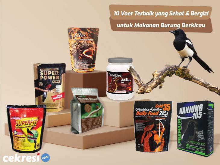Tips Terbaik agar Burung Gacor Dipercaya dan Disukai Pemiliknya